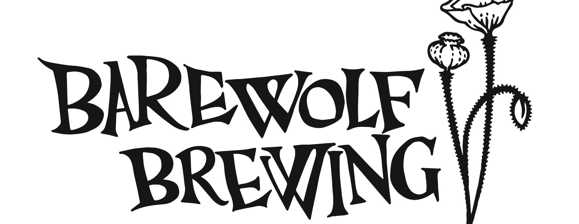 Power of Pets Fundraiser 